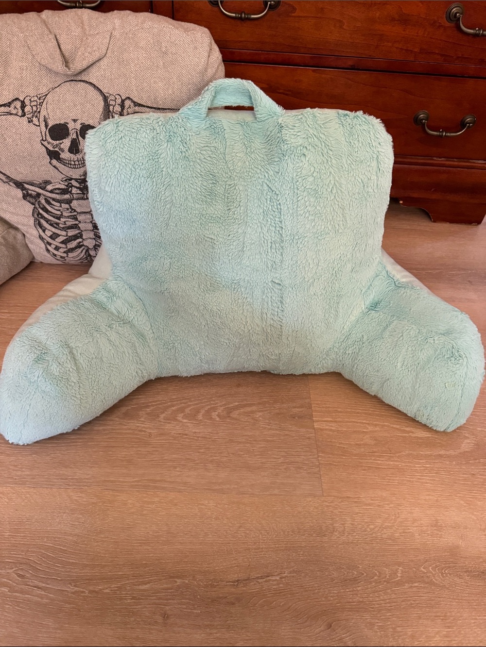 Blue Green Fuzzy Sit-Up Reading Pillow